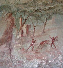 House of the Mosaic Atrium (Casa dell'Atrio a Mosaico) (Herculaneum)