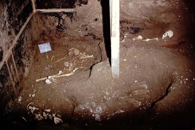 House of C. Julius Polybius