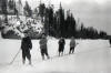 Dyatlov Pass Incident