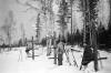 Dyatlov Pass Incident