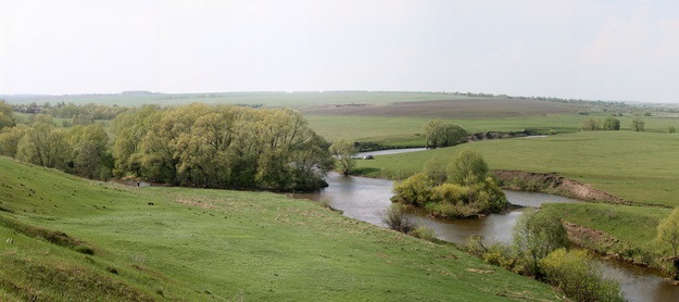 Kulikovo Field