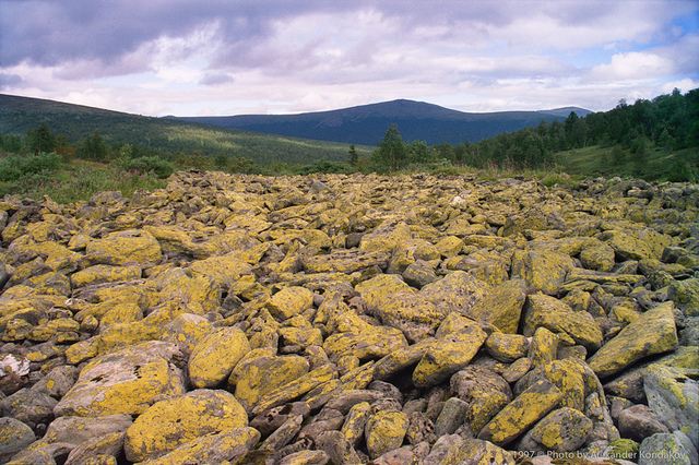 Vishersky Nature Reserve